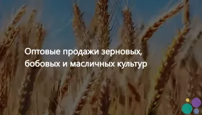 ООО Агропром - оптовая реализация продуктов питания экспорт