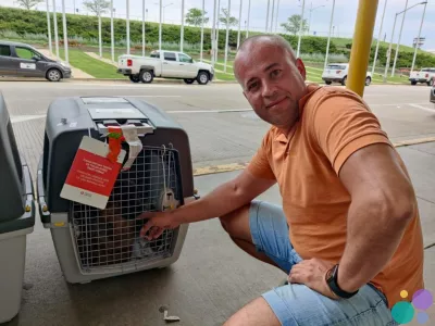 Перевозка животных в Америку и Европу