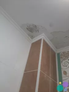 Мелкий ремонт покраска побелка