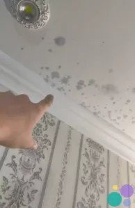 Мелкий ремонт покраска побелка