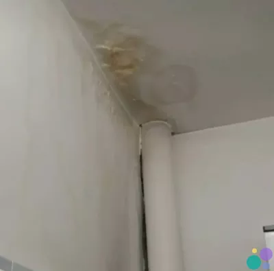 Мелкий ремонт покраска побелка