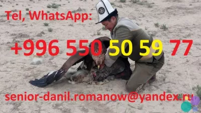 Туризм в Кыргызстане, путешествия, горы, трэки в Киргизии, гид, водитель, туры