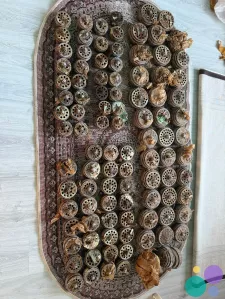 Куплю клапана пик для компрессоров