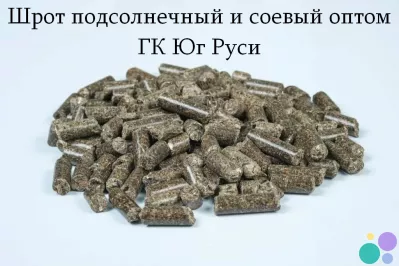 Шрот подсолнечный и соевый оптом - ГК Юг Руси