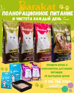 Barakat — премиум питание и уход для ваших питомцев.