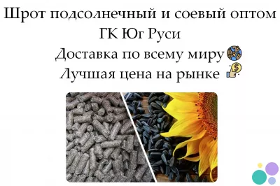 Шрот подсолнечный и соевый оптом от производителя ГК Юг Руси
